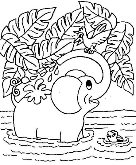 Cute Baby Elephant Coloring Pages - Part 5